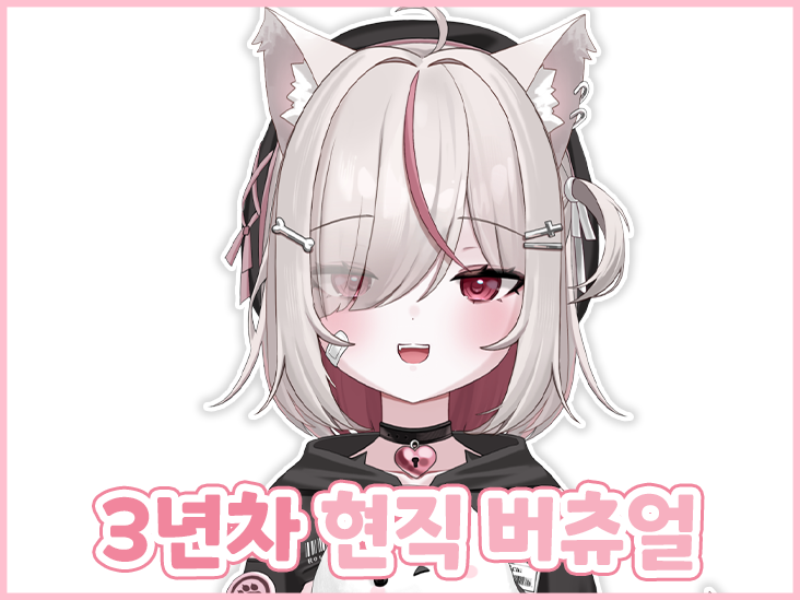 Live2D 리깅 (LD/SD/애니메이션/에셋)